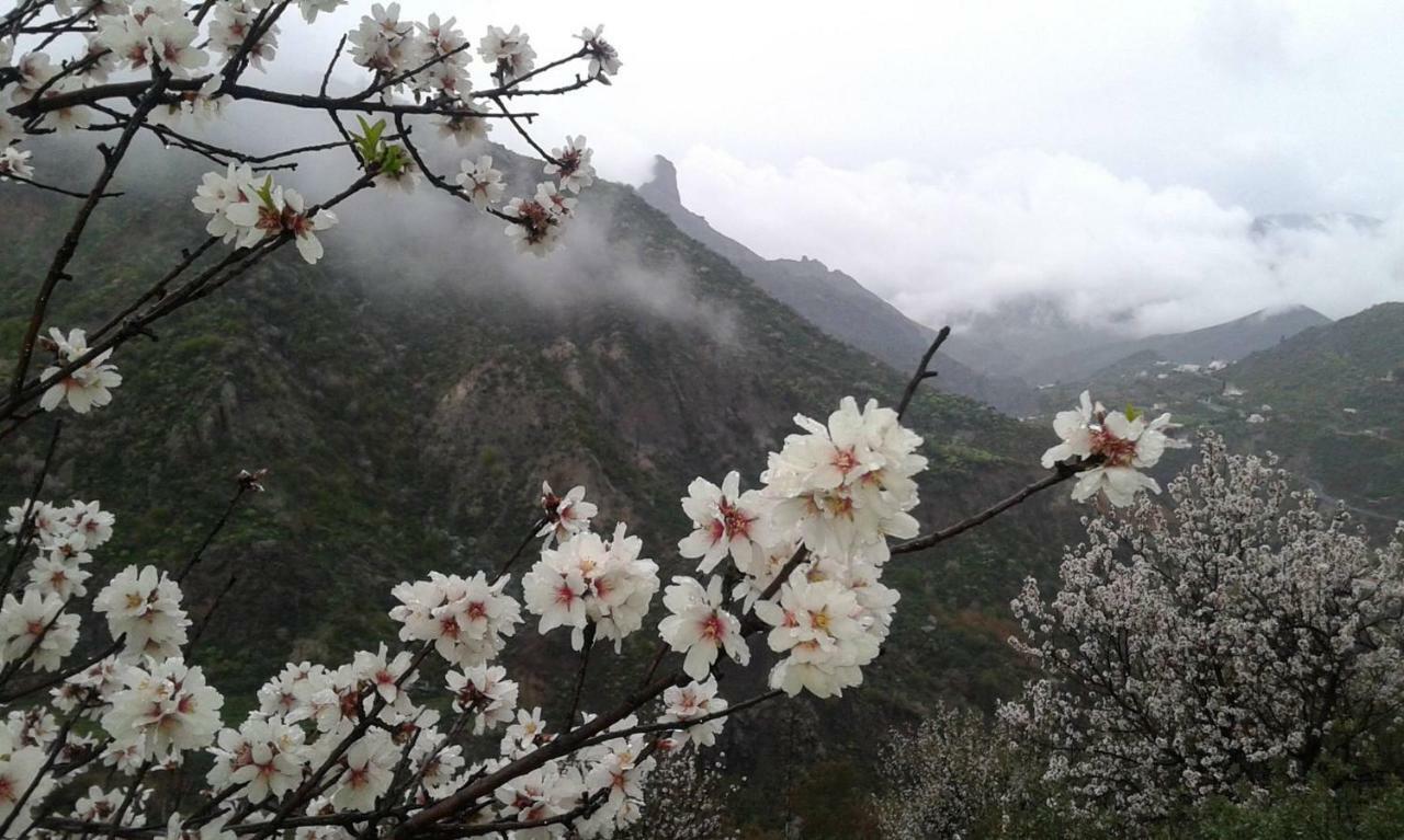 Vila El Fraile Tejeda  Exteriér fotografie